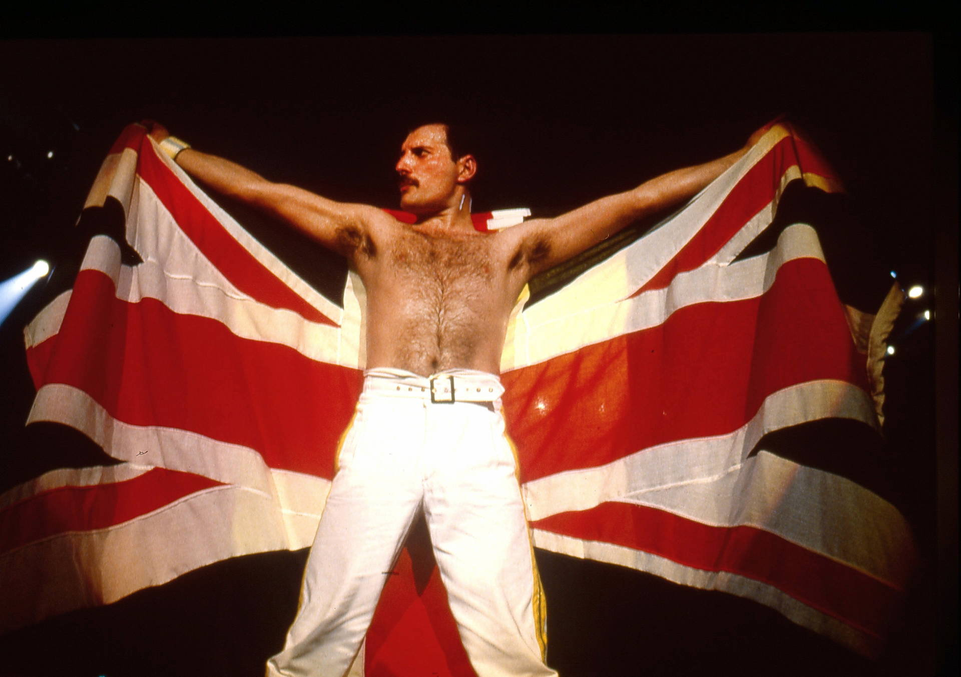 freddie-mercury-profimedia.jpg