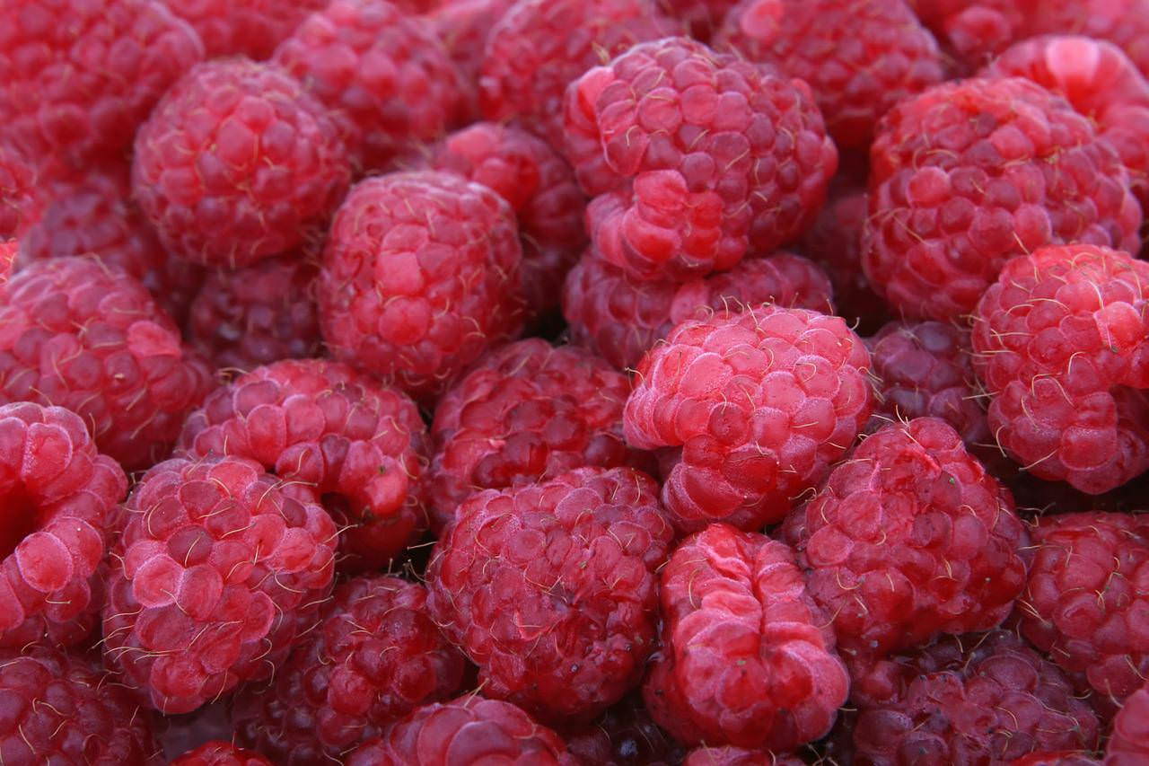 maline-pixabay.jpg