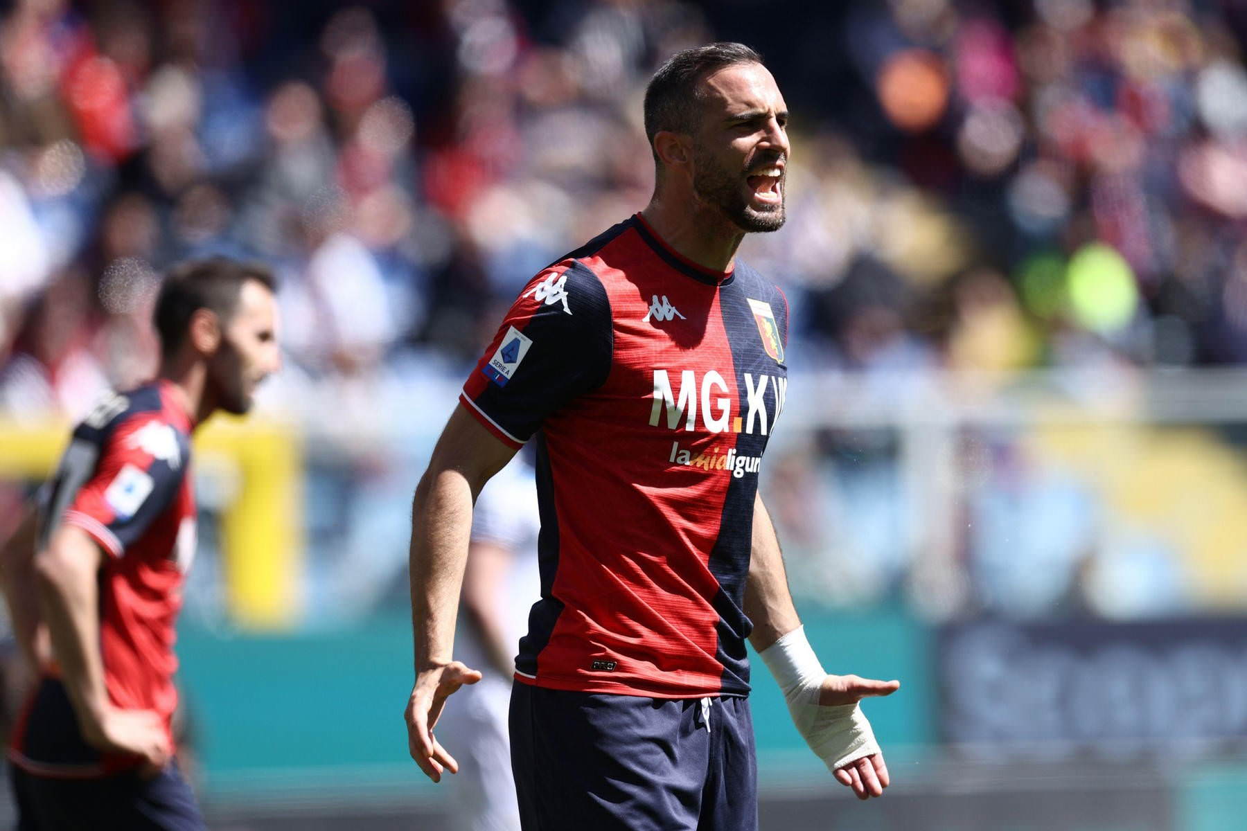 nikola-maksimovic-foto-profimedia.jpg