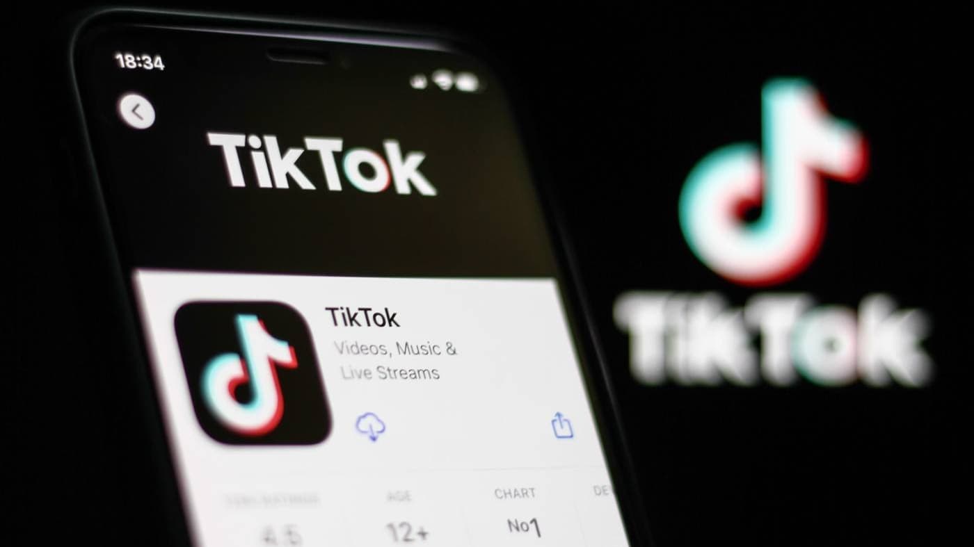 tiktok-izvor-tiktok Cropped (1).jpg