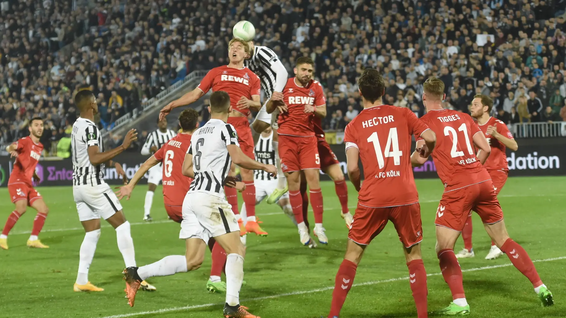 Partizan Keln-1665691557554.webp