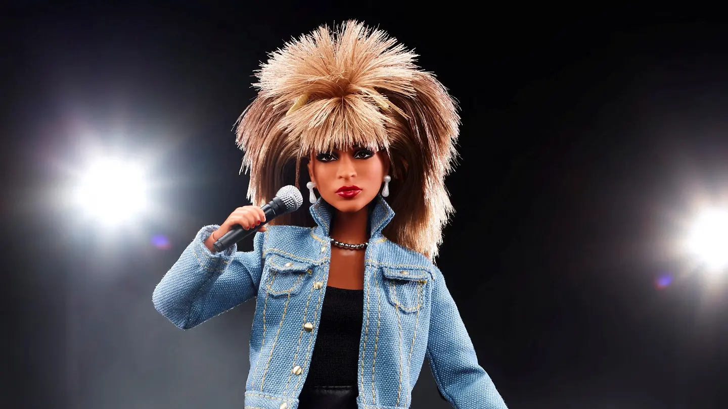 tina turner, reuters-1665723003547.webp