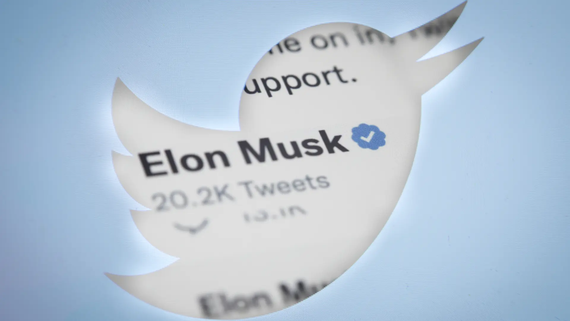 Twitter_Tviter_Plava kvačica_Ilon Mask_Elon Musk_Foto Reuters-1669380257559.webp