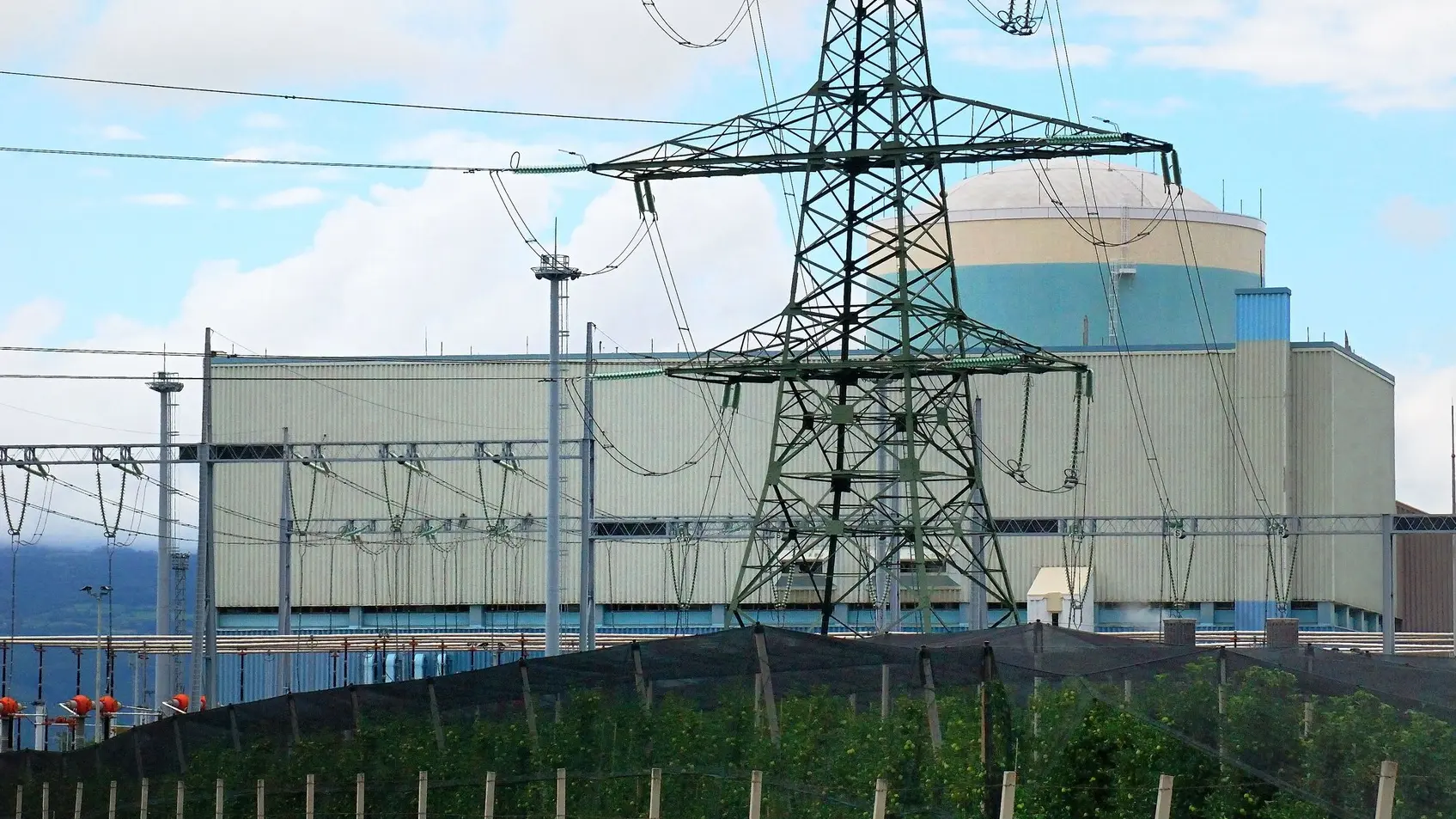 ne krško profimedia-0108429811-63c696d9a7186.webp