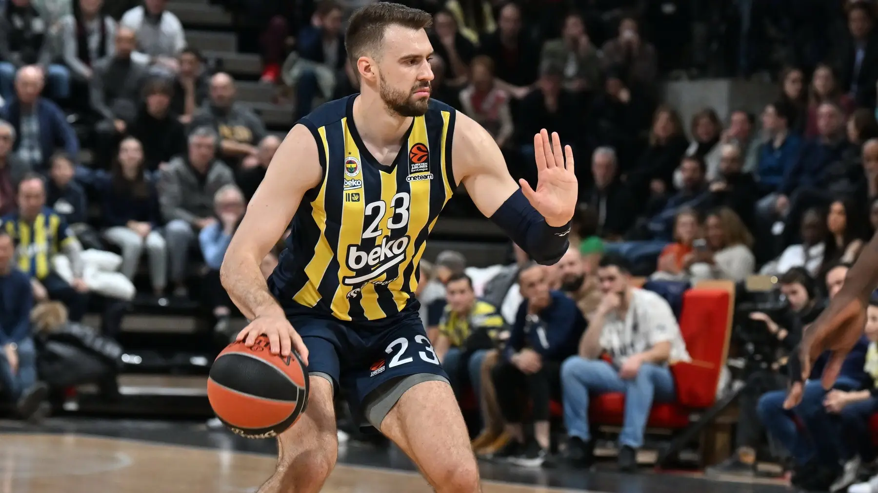 Marko Gudurić-63f86ad57de12.webp