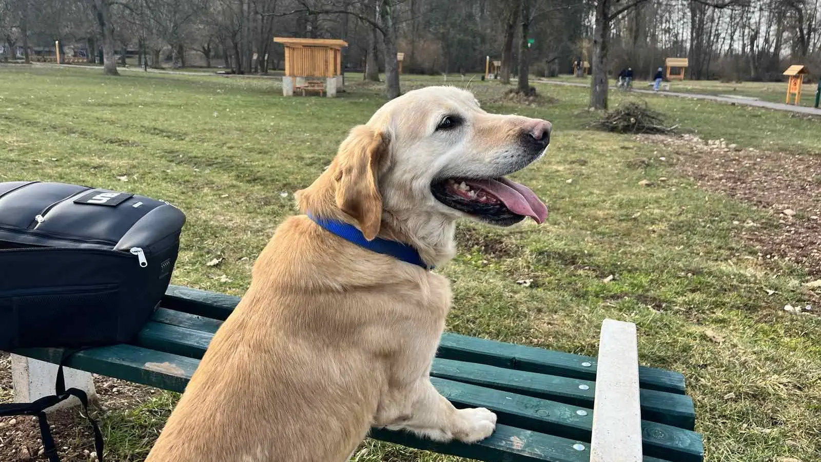 Pas Smeki3_UNA-63fcc60fe058e.webp