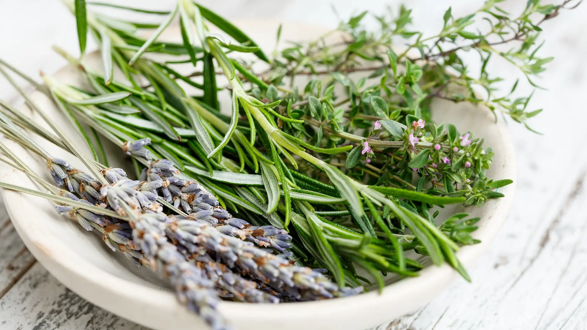 Začinsko bilje (1)-63da7dd5e74da.webp