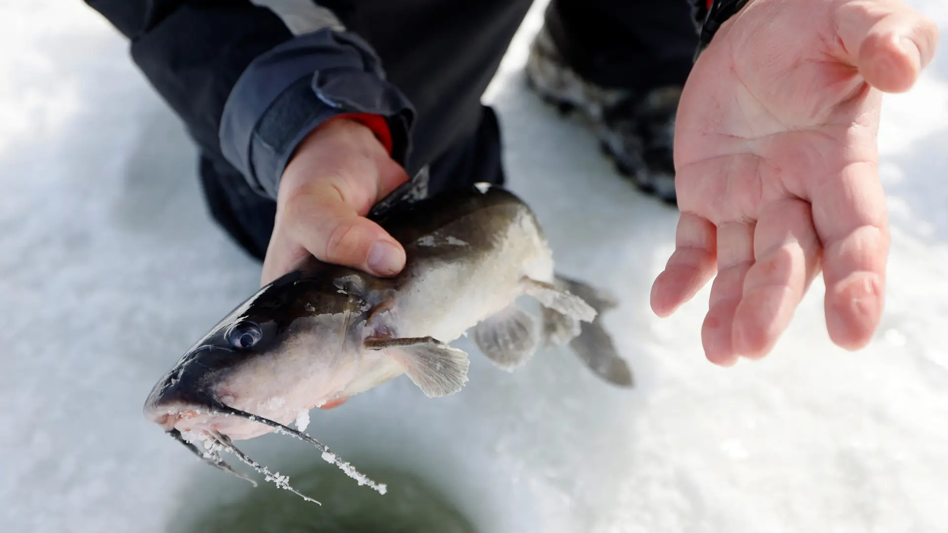 2023-02-27T110021Z_1333100716_RC2HGZ9C2XH7_RTRMADP_3_CANADA-CLIMATE-ICE-FISHING-63ff6b0f50722.webp