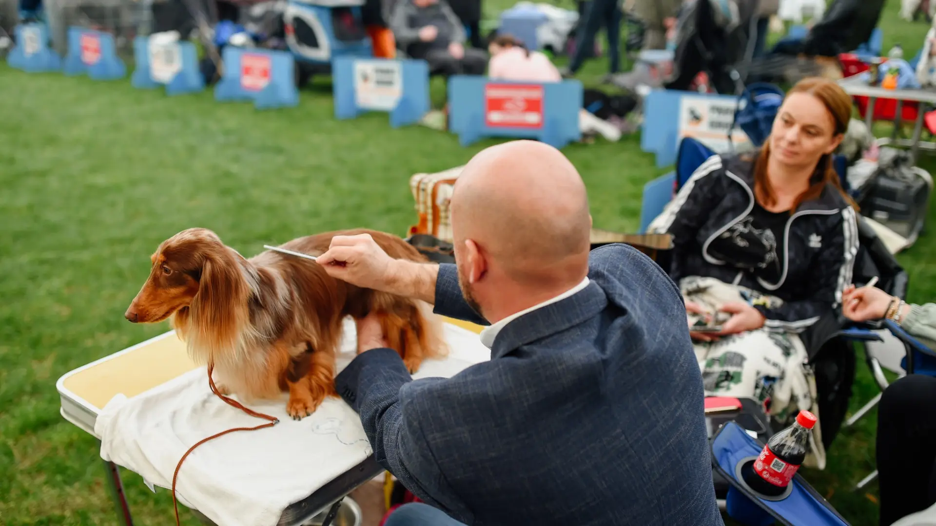 Banjaluka Dog Show foto B.Bojic-64208a29aa636.webp