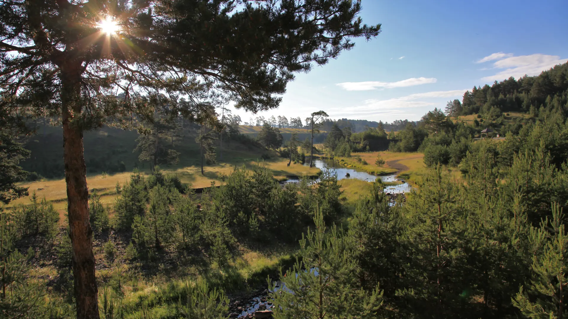 zlatibor opština čajetinaa-6422e661b34f3.webp