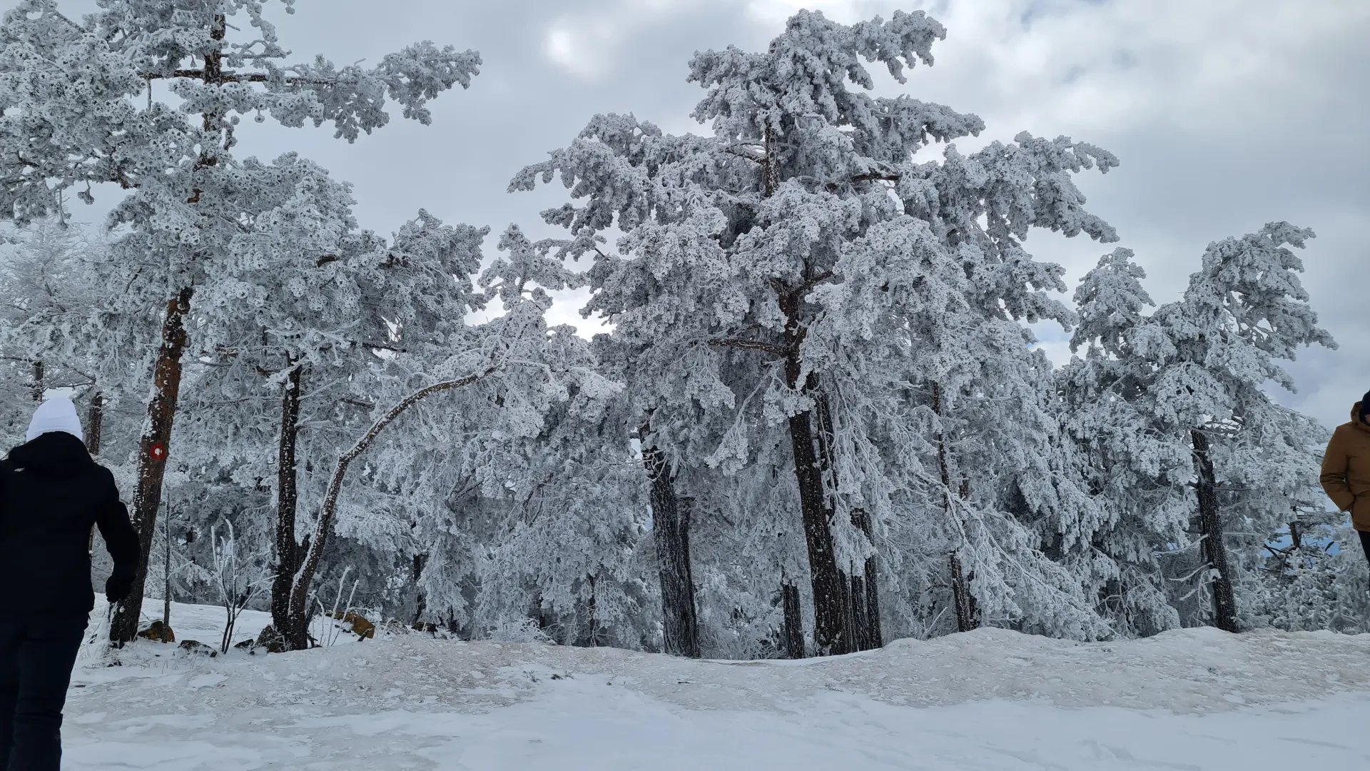 zlatibor, sneg una (6)-6422ea4d78f5e.webp