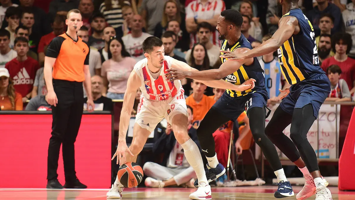 Crvena zvezda vs Fenerbache Luka Mitrovic foto Dusan Milenkovic:ATAImages-6438591163143.webp