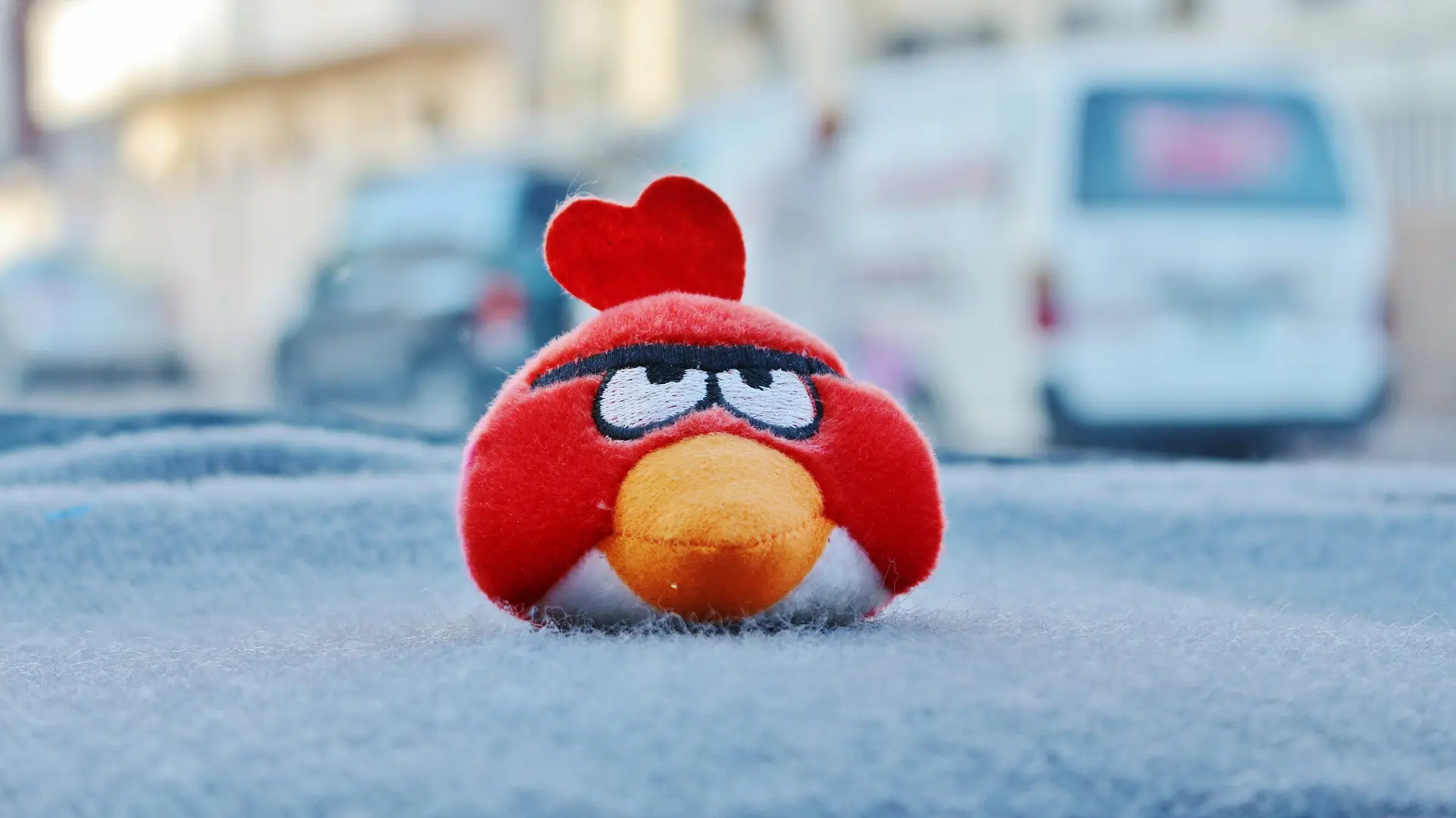 angry-bird Pixabay-643e447572fc0.webp