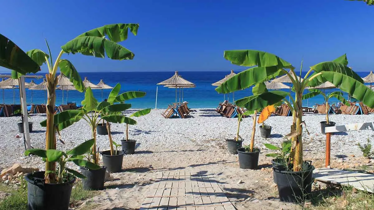 Bali-na-evropski-nacin-albanija-dermi-646b2be87aace.webp