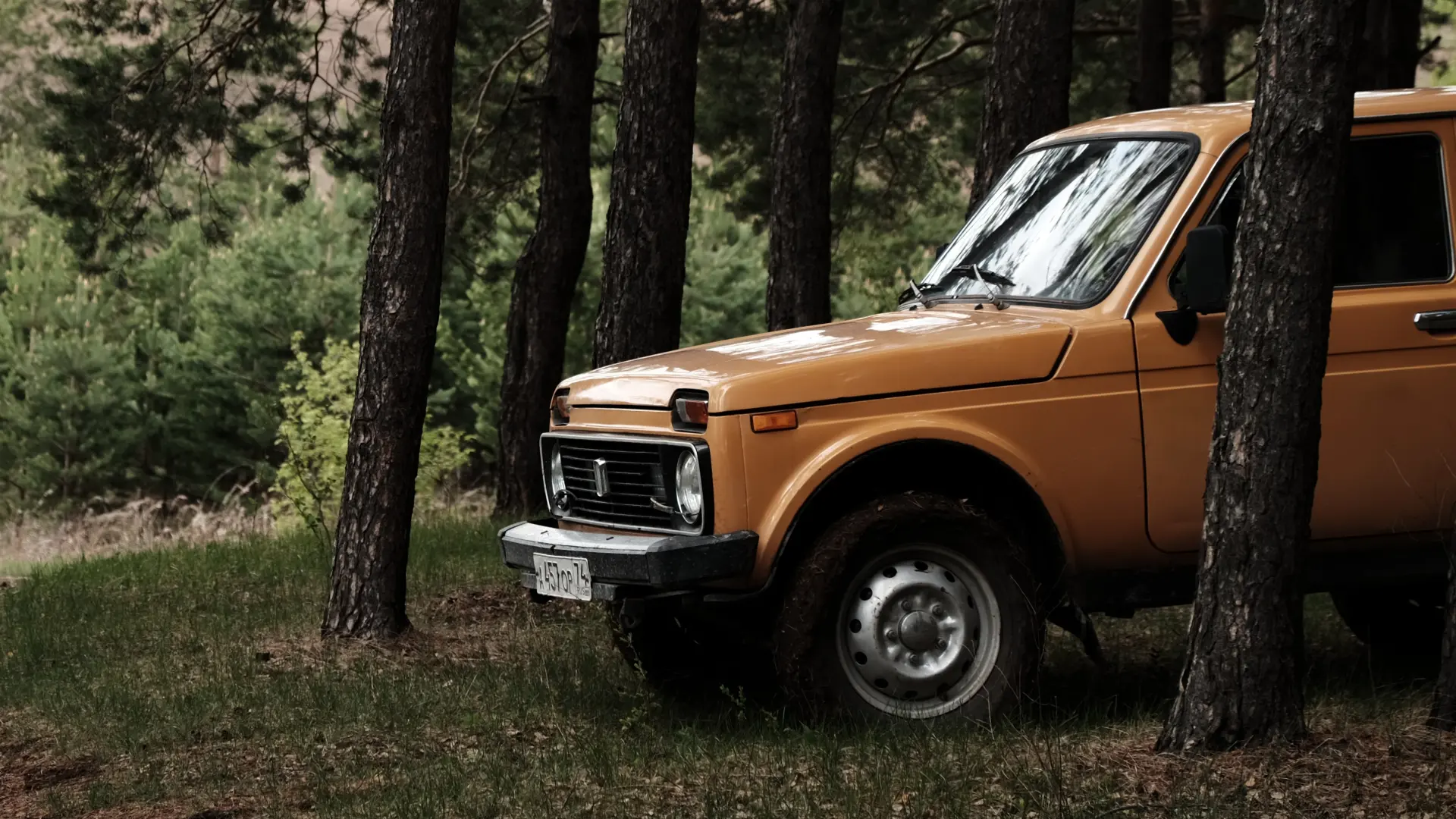 Lada Niva_Foto Unsplash-64720d355814b.webp