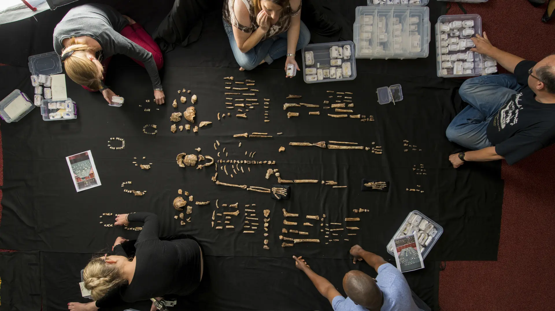 Homo naledi_Južna Afrika_najstarija grobnica na svetu_Foto Tanjug_AP Photo_Themba Hadebe-647ef831e0ce4.webp