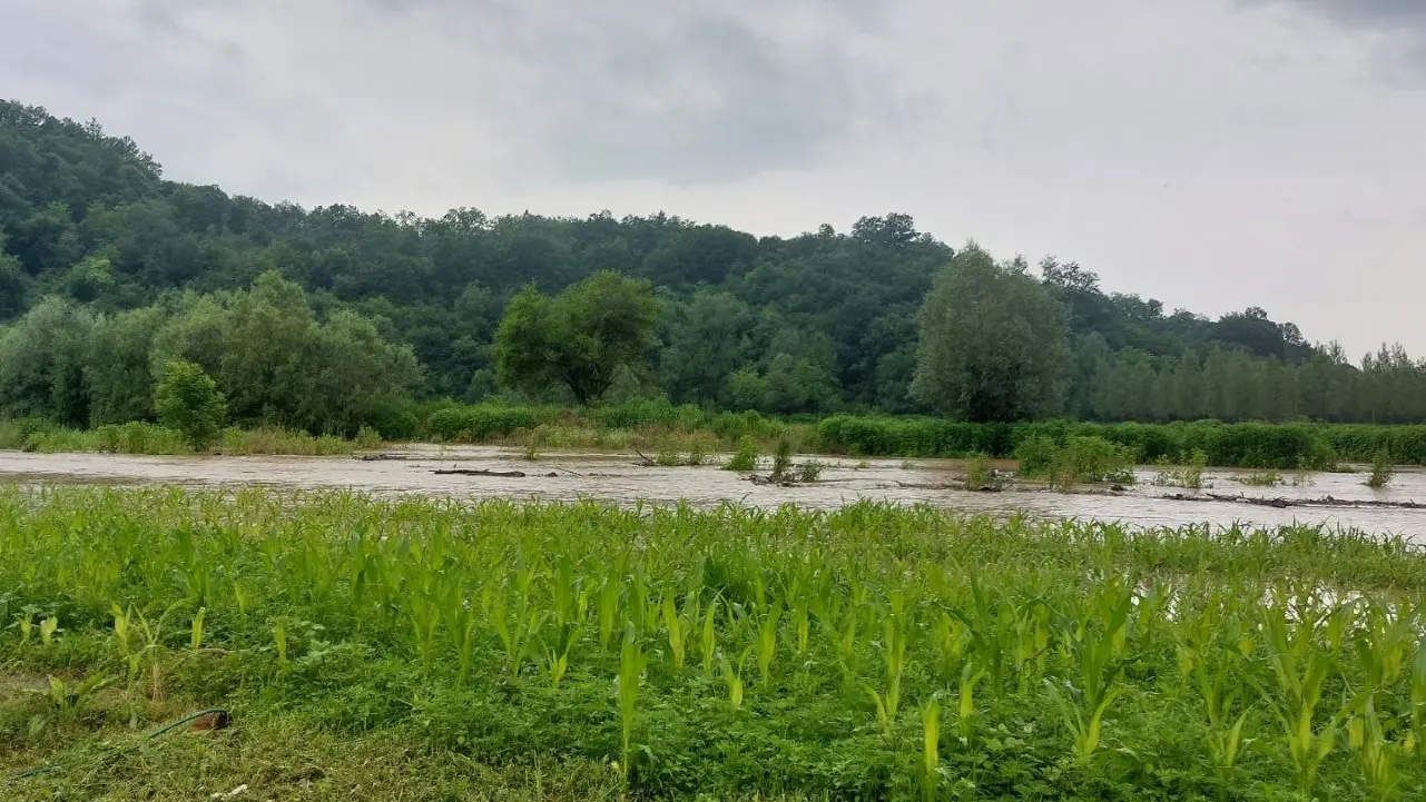 poplave mira čvorić tanjug osečina-648c5625753f9.webp