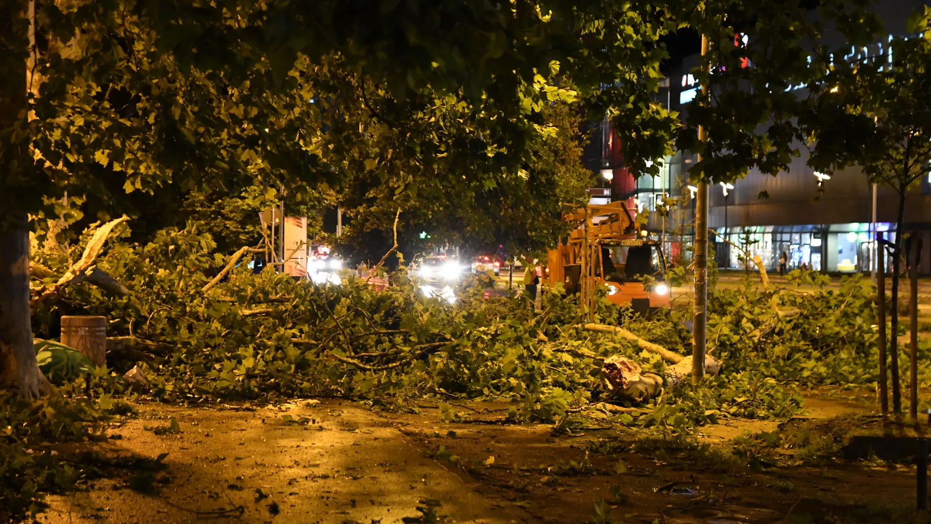 Nevreme_Novi Sad_Foto Tanjug_Nenad Mihajlović-64b8437ab9902.webp