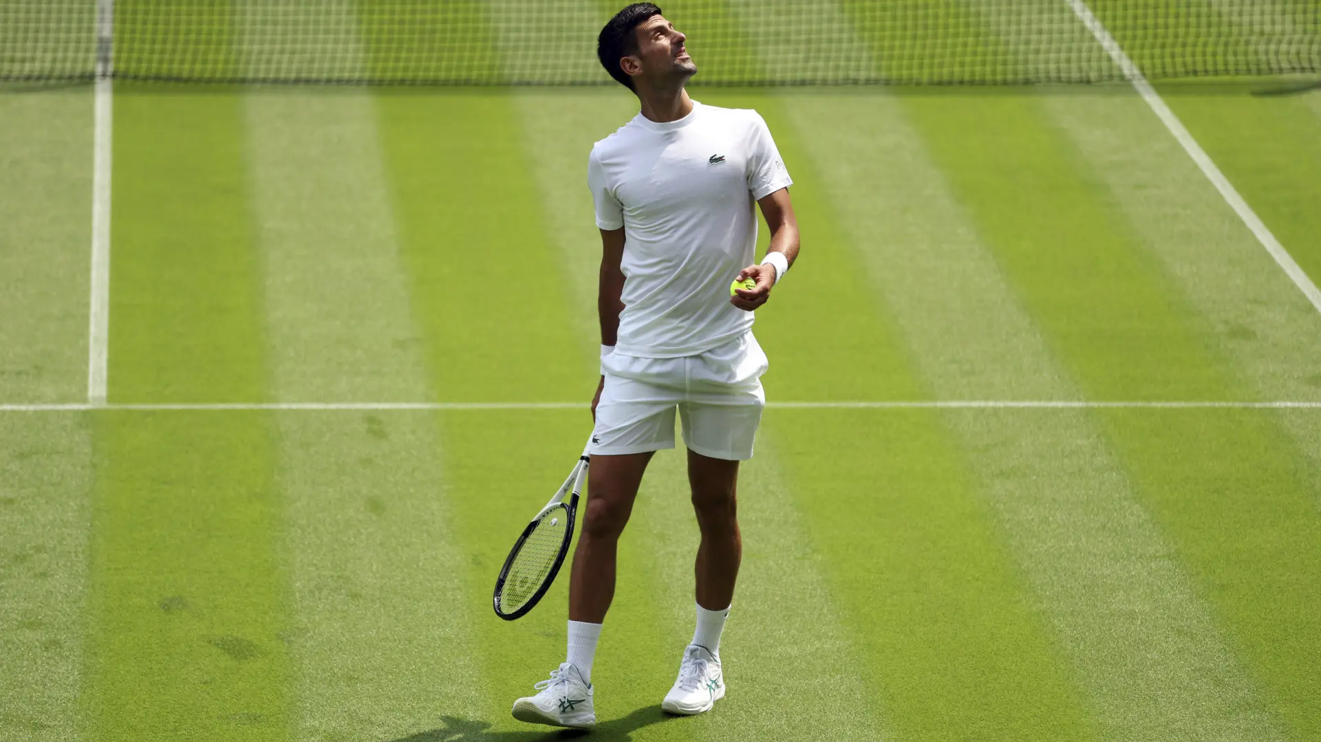 Tan2023-06-2916470978_9 novqak djokovic Steven PastonPA via AP-64a0083277091.webp