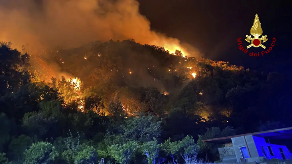 Tan2023-07-2521242288_0 italija požari sicilija (Italian Firefighters - Vigili del Fuoco via AP)-64c0b7b857428.webp