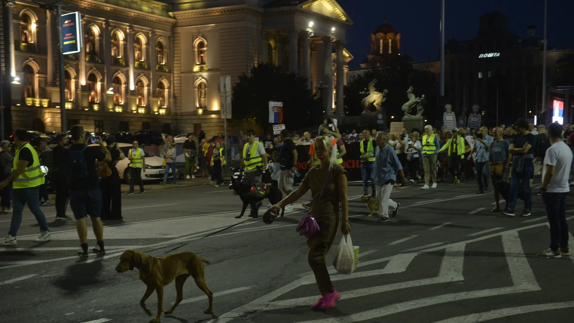 22. protest Srbija protiv nasilja - rade prelić tanjug-65186dd110278.webp