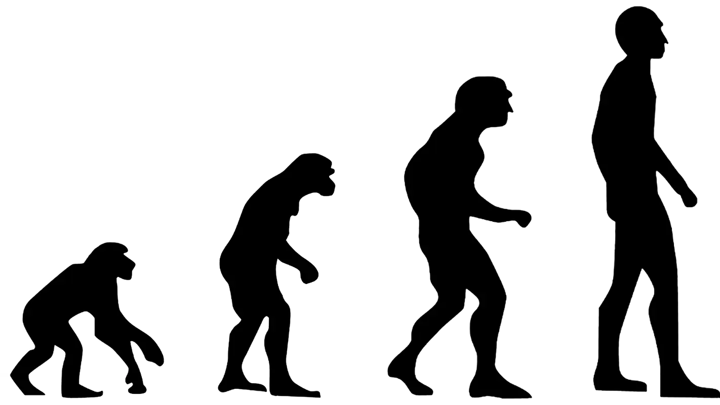 evolucija čoveka pixabay-64f1d86fac86e.webp