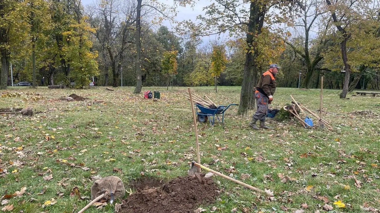 ozelenjavanje UNA-655f76fa36a26.webp