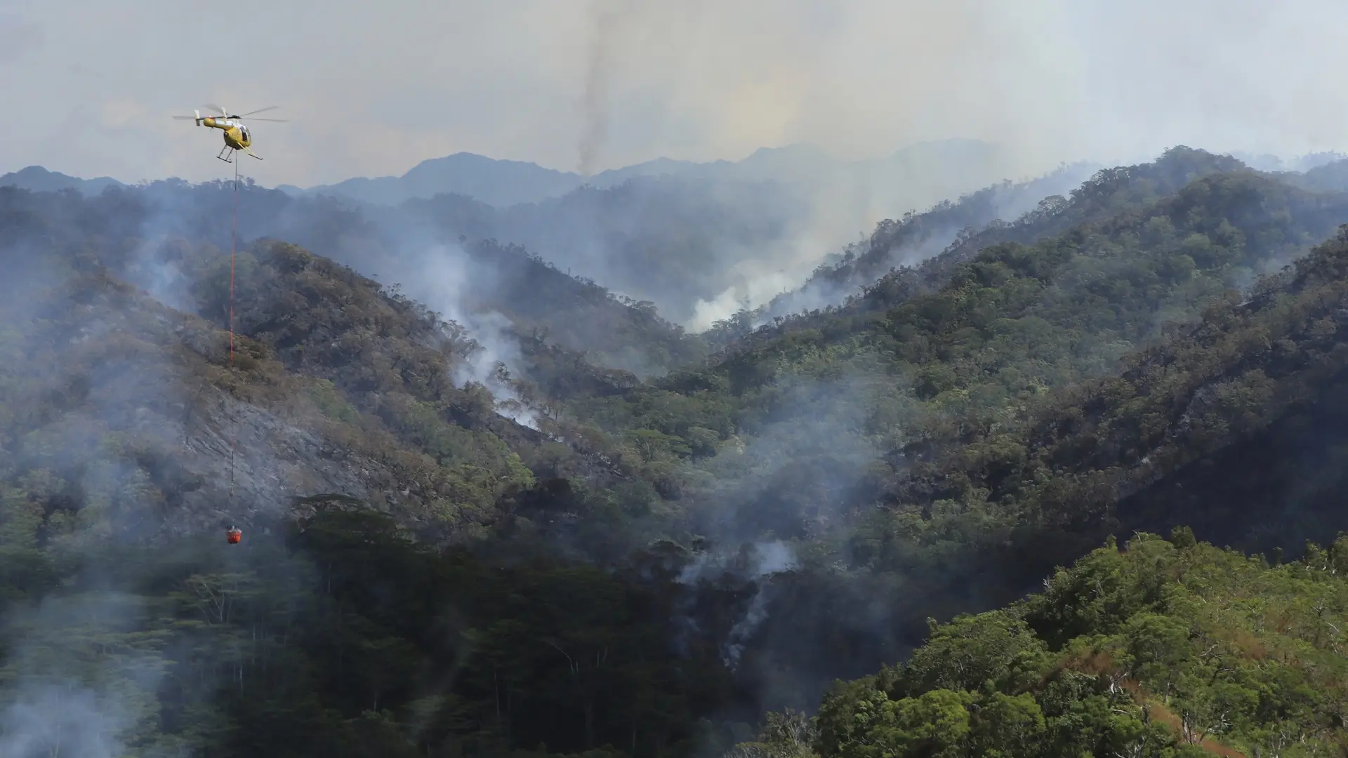 požar, havaji - Dan Dennison Hawaii Department of Land and Natural Resources via AP, File tanjug-655262a5ad396.webp