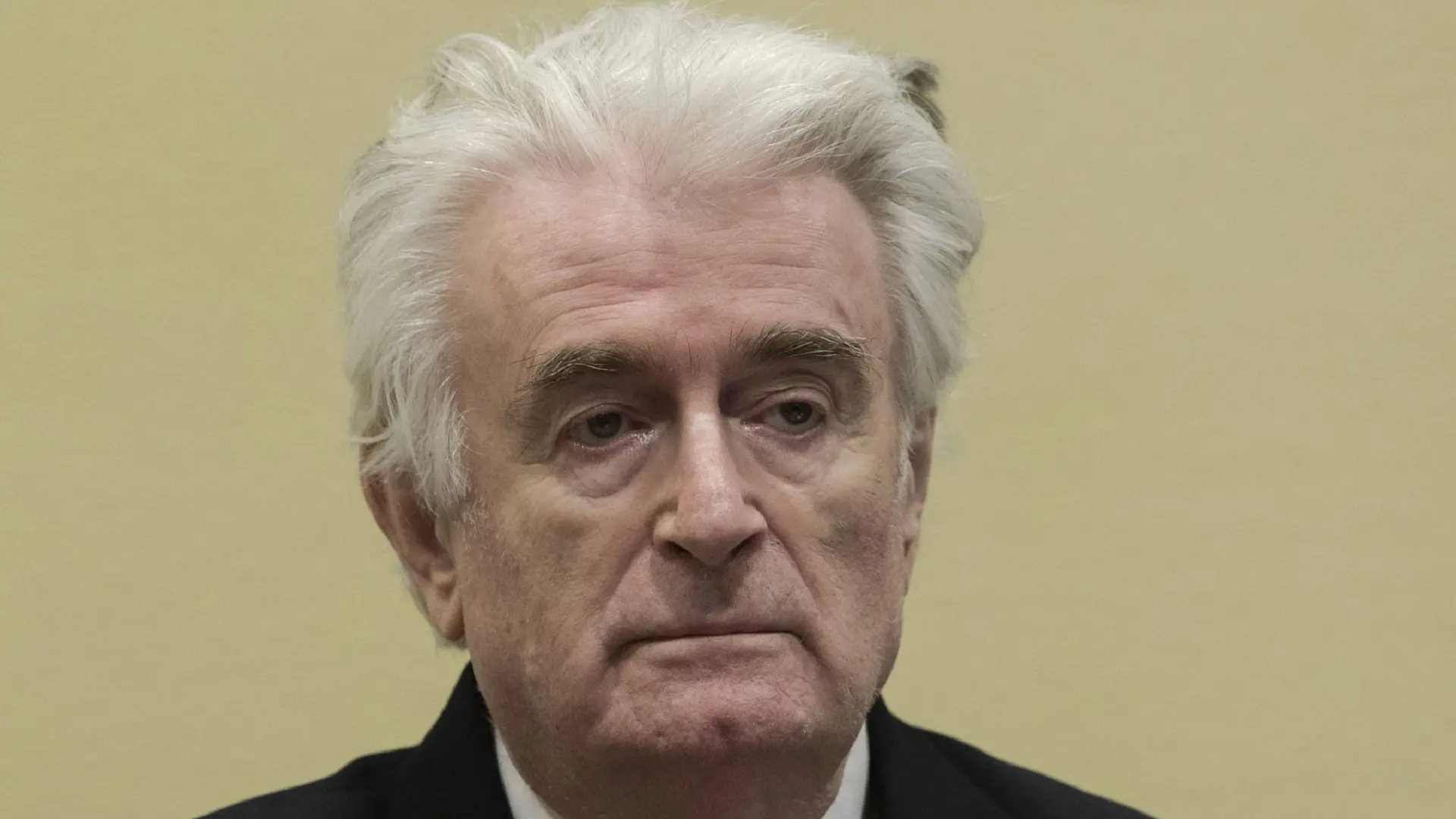 radovan karadžić, 20 mart 2019 - profimedia-655c730ad11ff.webp