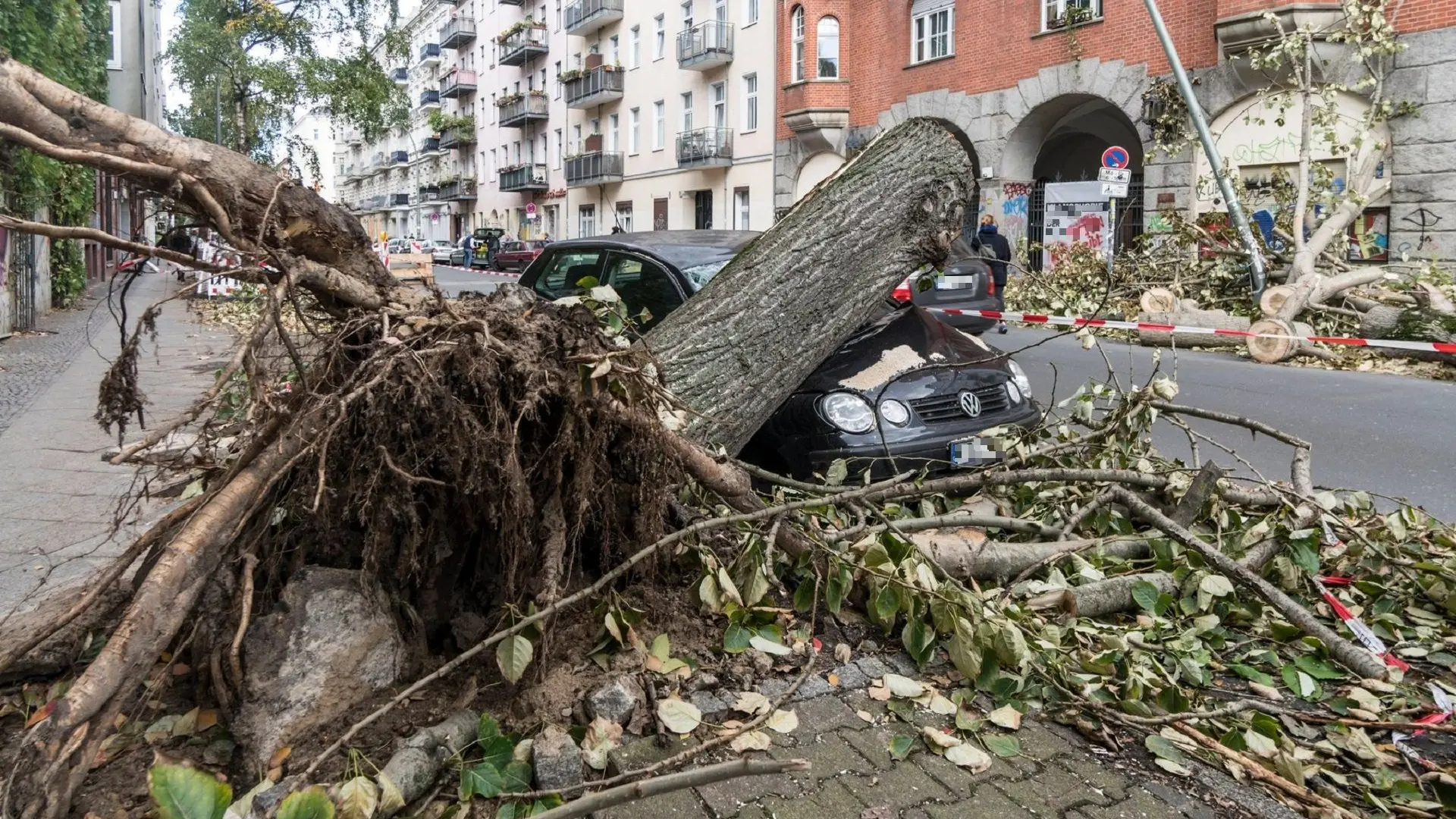 uragan, orkanski vetar, drvo palo na automobil - foto profimedia-6559f0346e872.webp