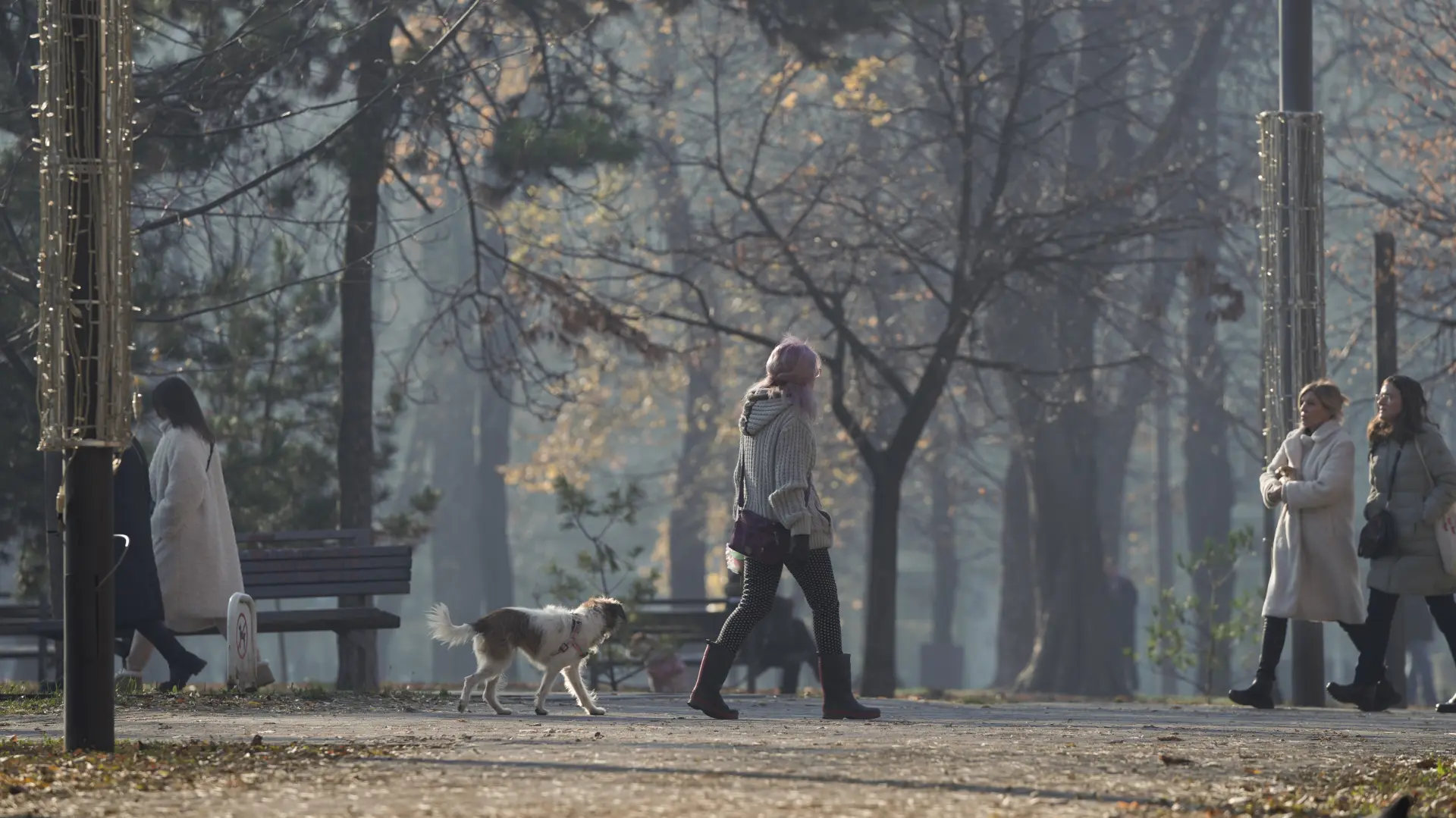 beograd zima vreme Strahinja AćimovićTanjug-65805b8ac52c9.webp