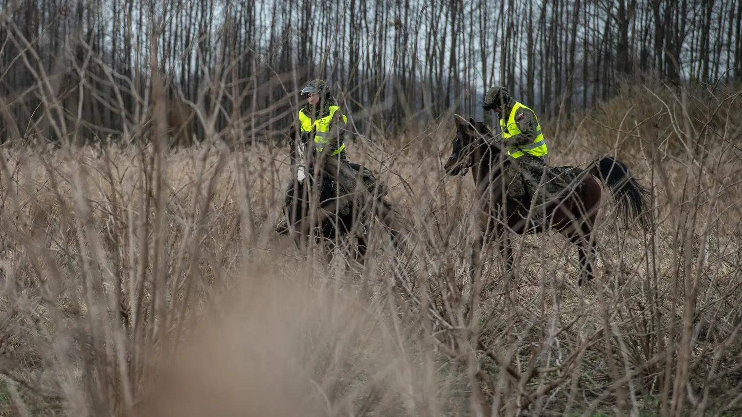 poljska vojska traga za ruskom raketom, 30 dec 2023 - profimedia-6590206510df8.webp