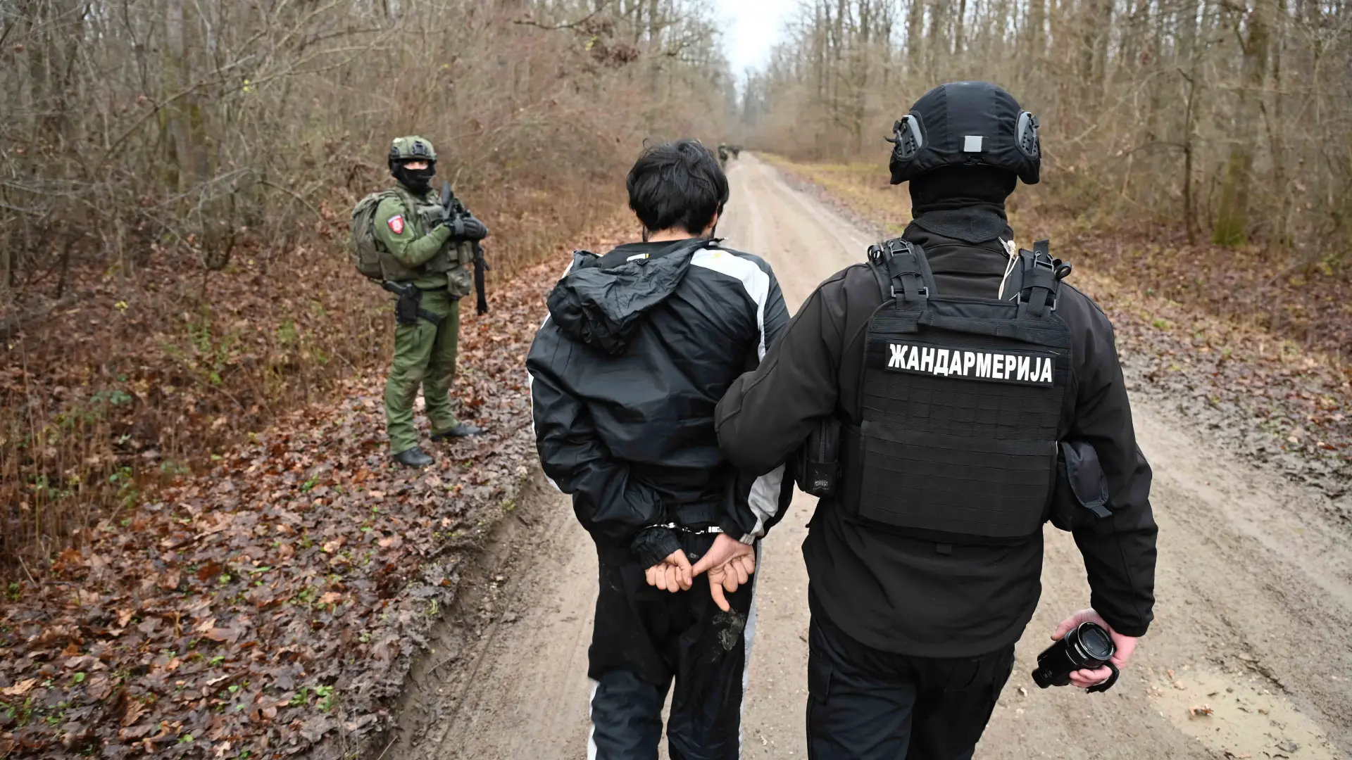 žandarmerija, migranti, privođenje migranata - foto MUP Srbije (1)-65b87ed52f6c3.webp