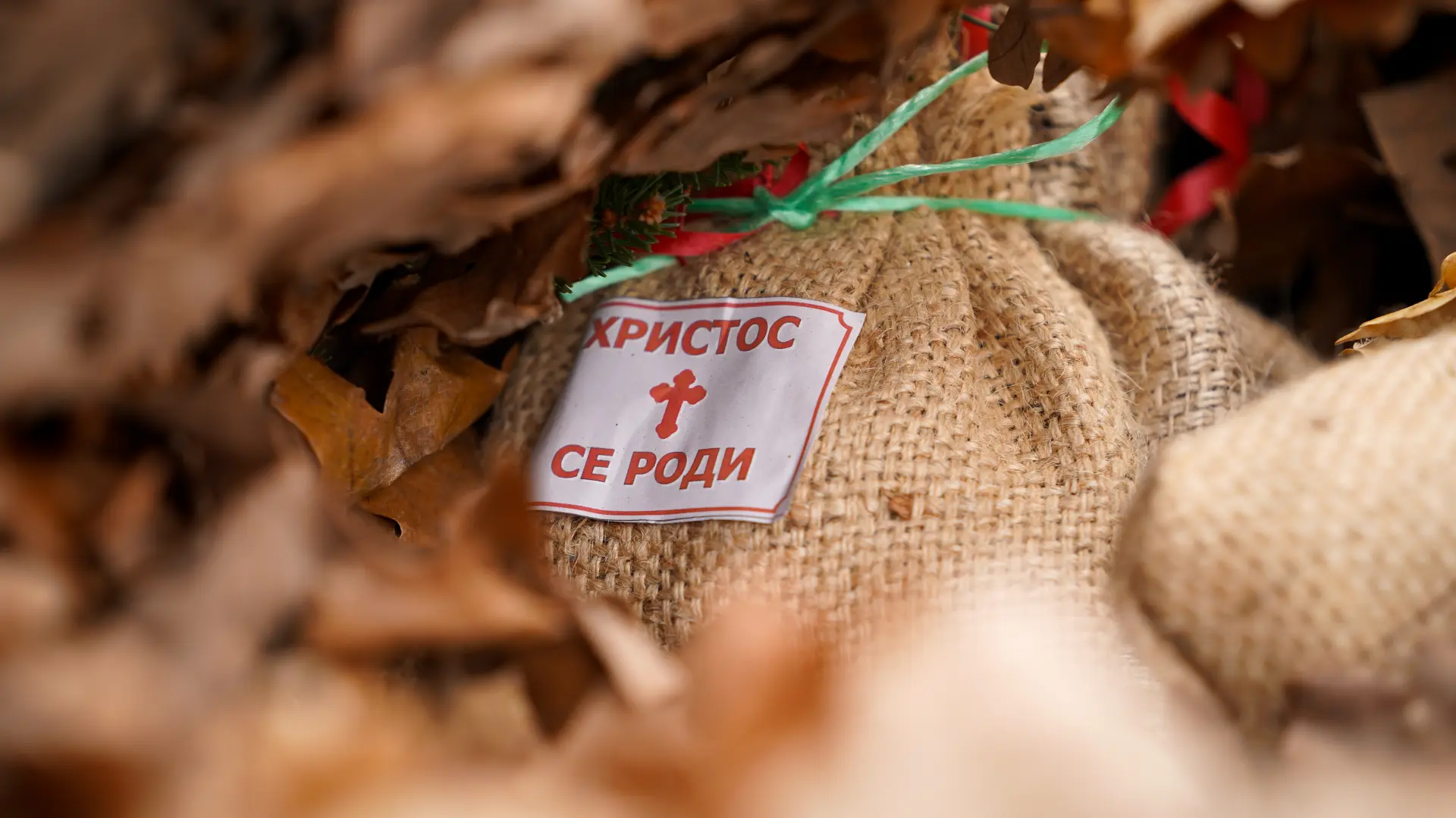 Tan2024-01-0514313891_5 božić foto jadranka ilič-6599c18da94b8.webp