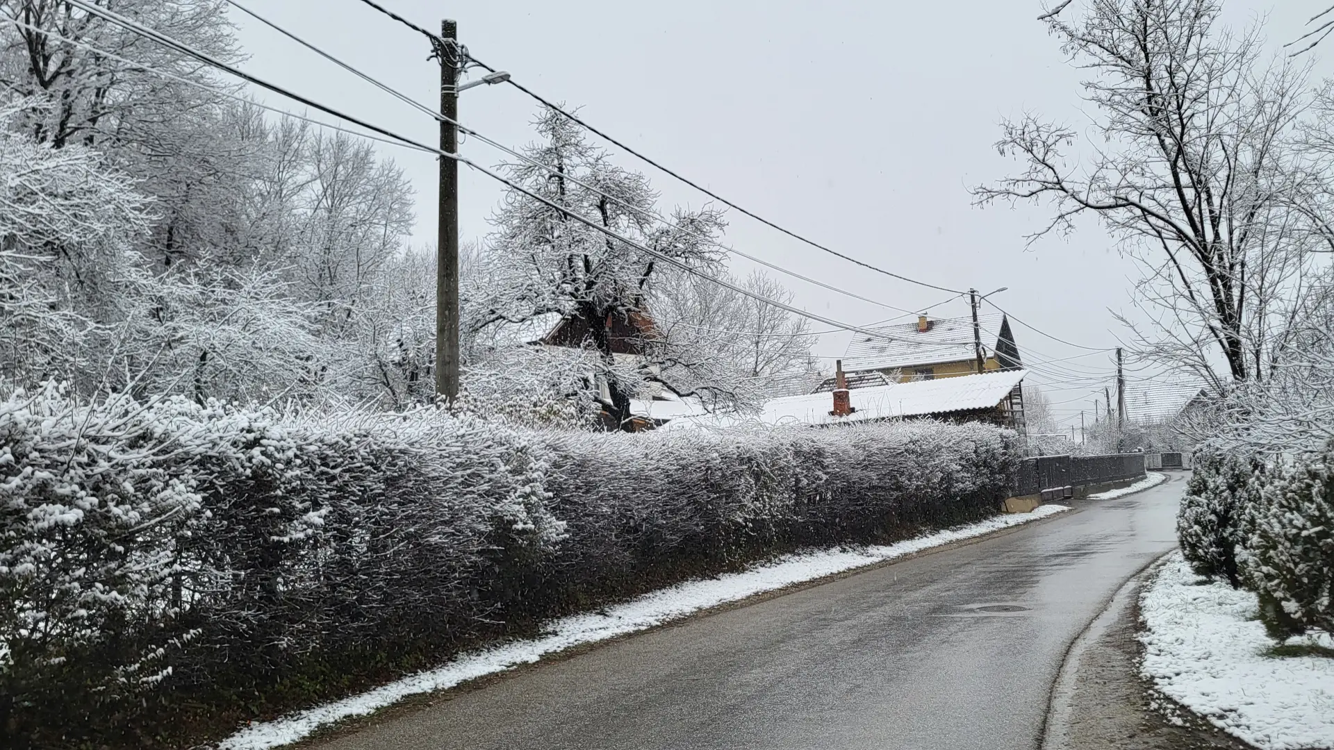 Tan2024-01-0812205995_3 čačak sneg zima, foto nenad lukić-659d1d2b3ae49.webp