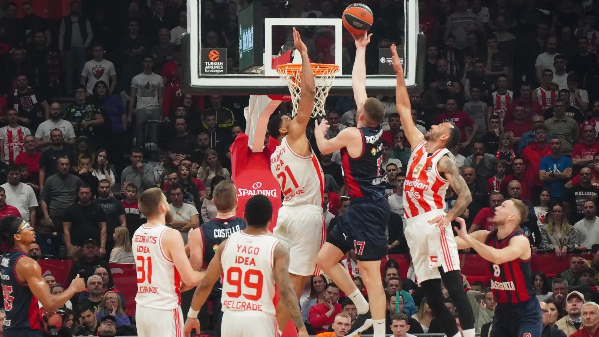 kk crvena zvezda - kk baskonija, evroliga - 18 jan 2024 - foto Tanjug Vladimir Šporčić-65a980ef8f0f6.webp