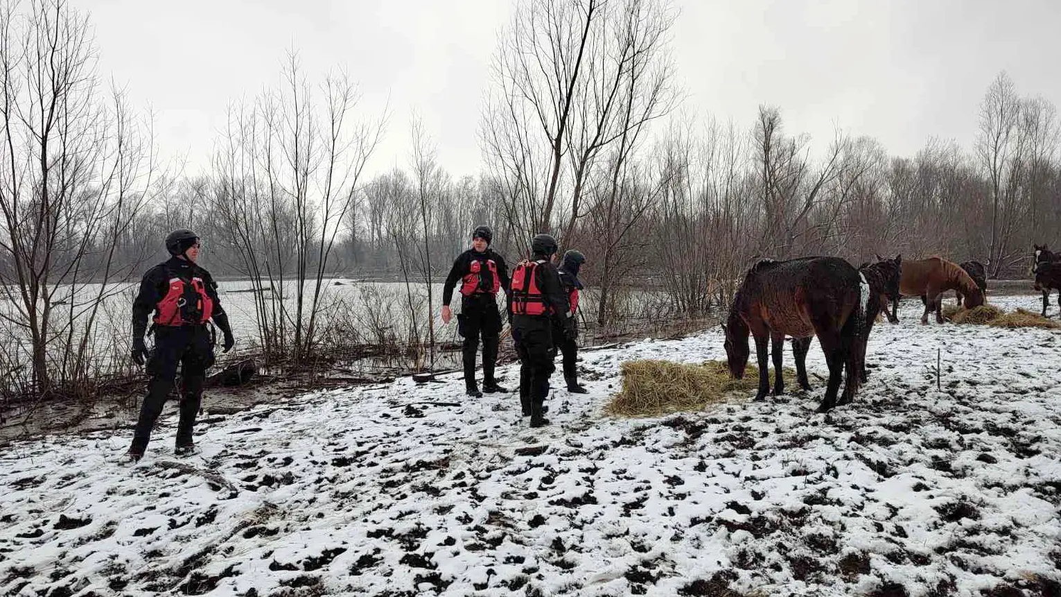 krčedinska ada OMK MUP REPUBLIKE SRBIJE tanjug-65a1026515683.webp