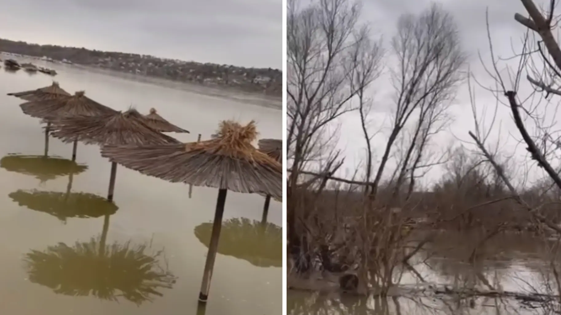novi sad poplava facebook@vojvodina uživoc-659557d9e2730.webp
