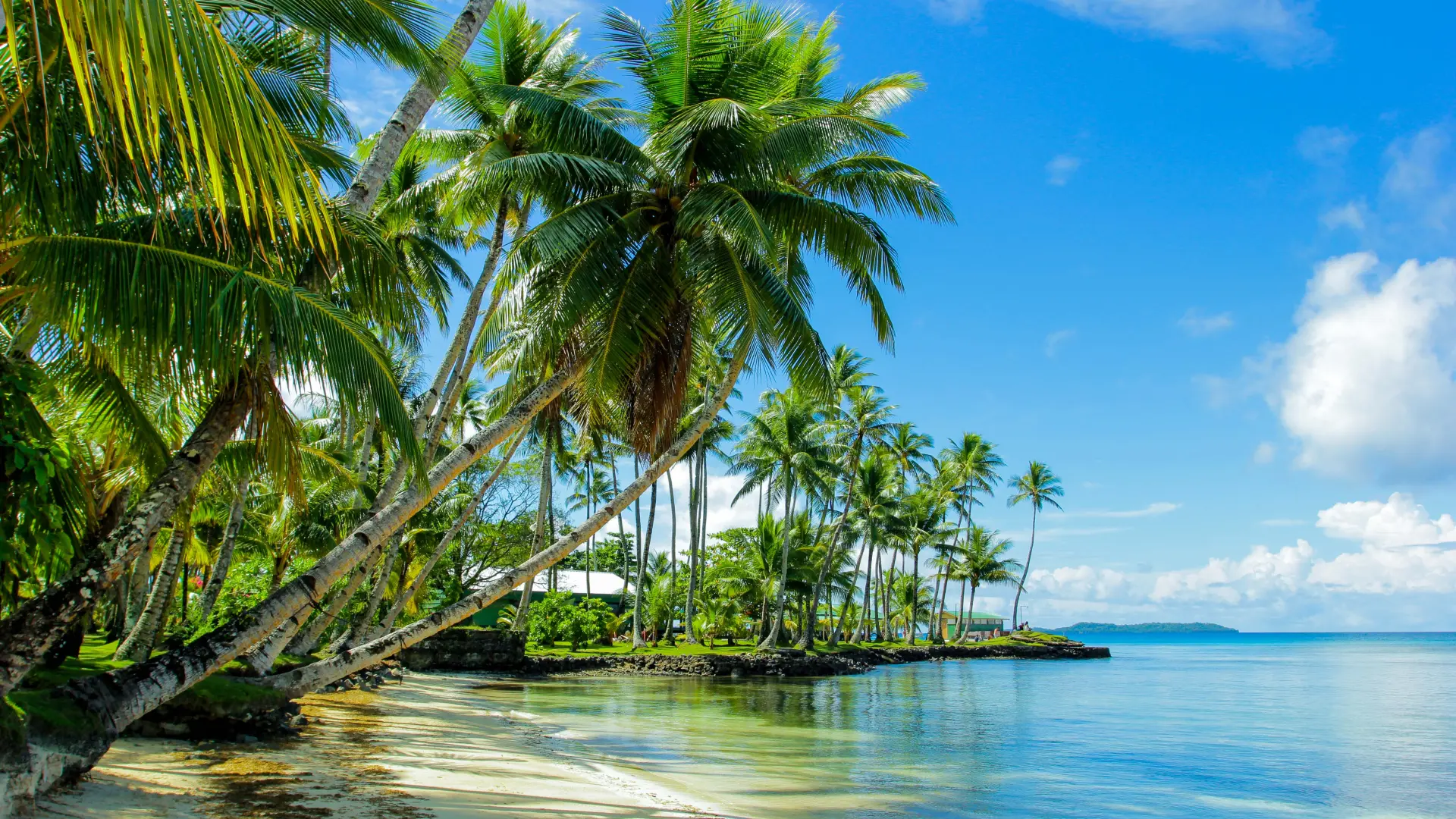 shutterstock_1764716558 Chuuk Lagoon, Laguna Čuk, ostrvo, more, palma, leto, putovanje, odmor, plaža-65981c448d4e9.webp