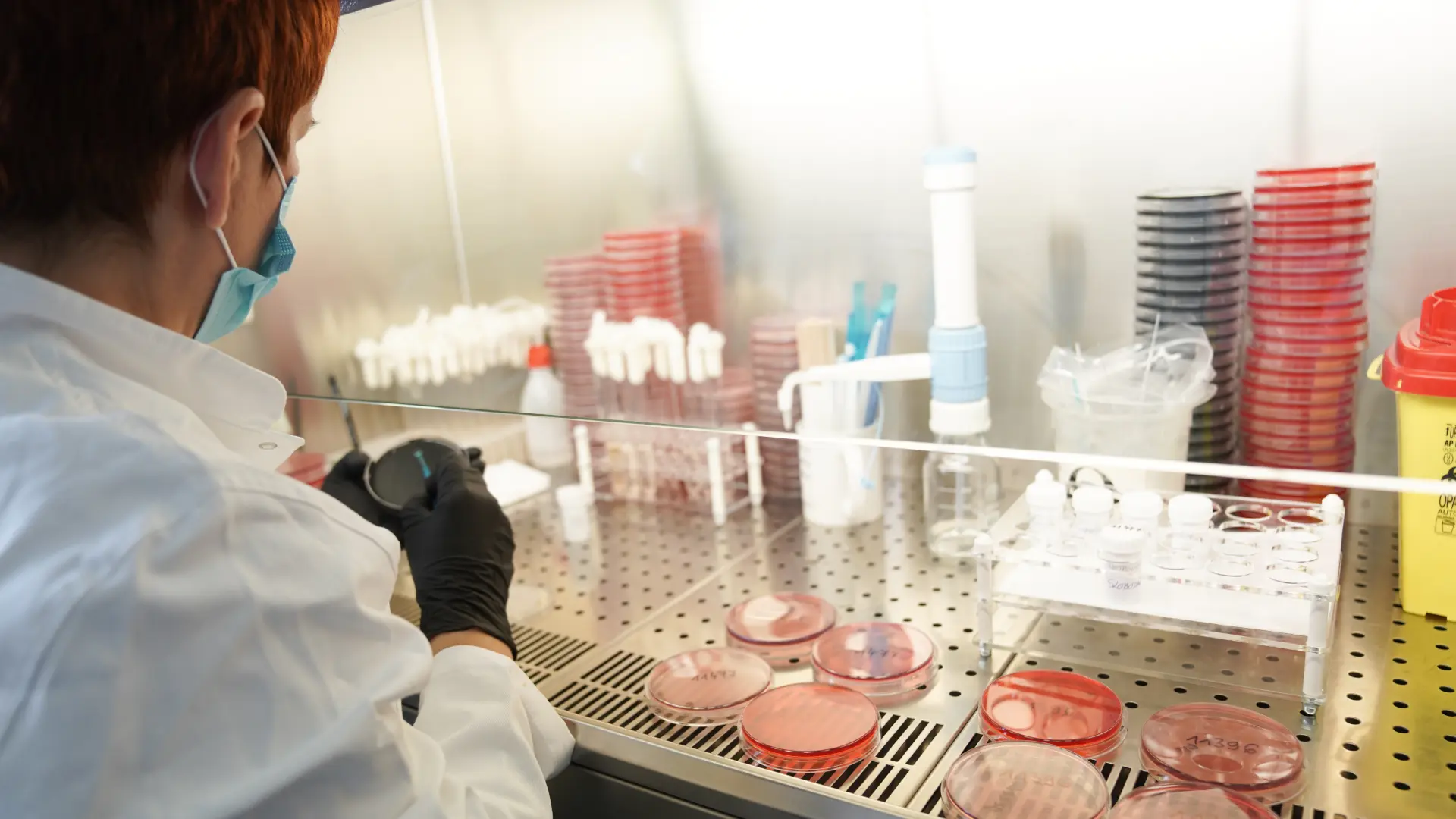 TANJUG STRAHINJA AĆIMOVIĆ Epidemija, emdicina, pandemija, doktor, laboratorija-65ccc6acb2a07.webp