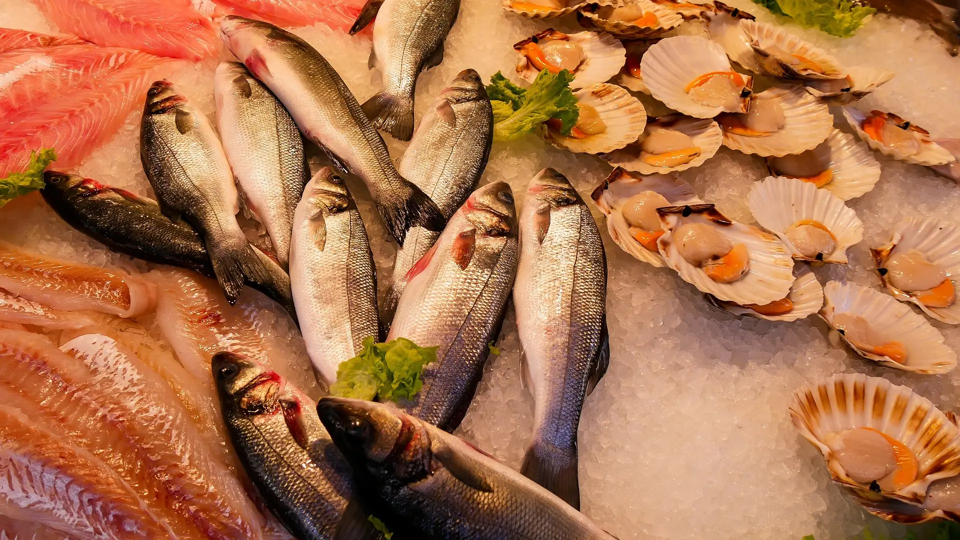 riba morski plodovi pixabay-65d72346d9383.webp