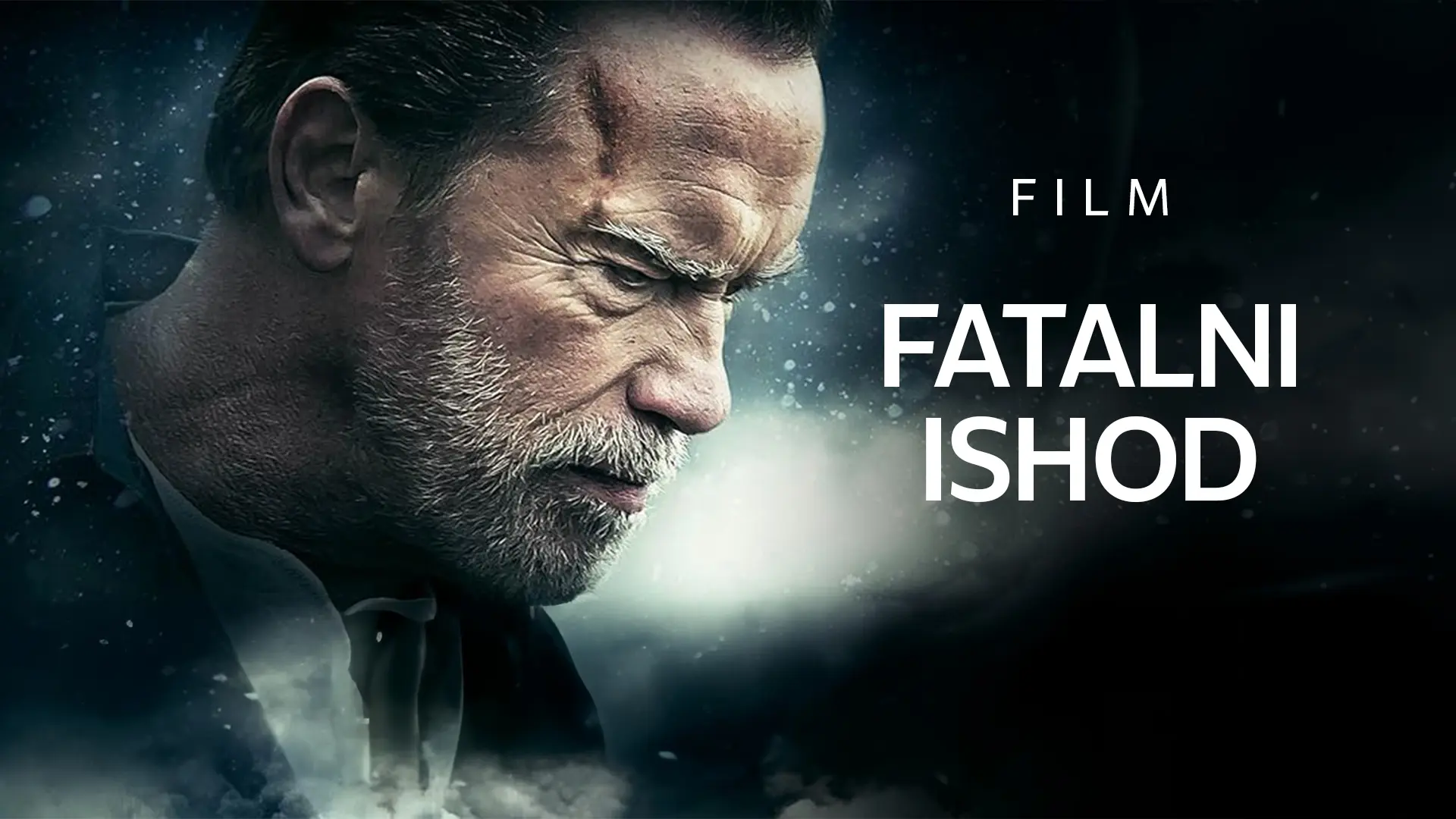 FATALNI ISHOD-65f49ae50cd1a.webp
