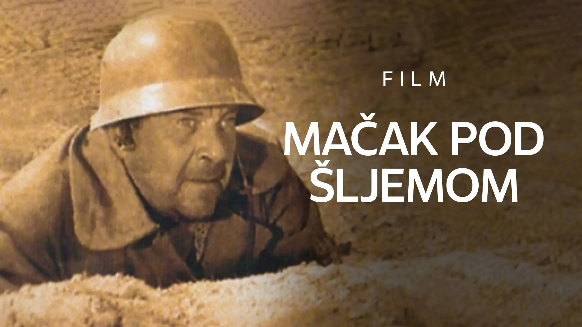 MAČAK POD ŠLJEMOM-65fc4c45baa07.webp