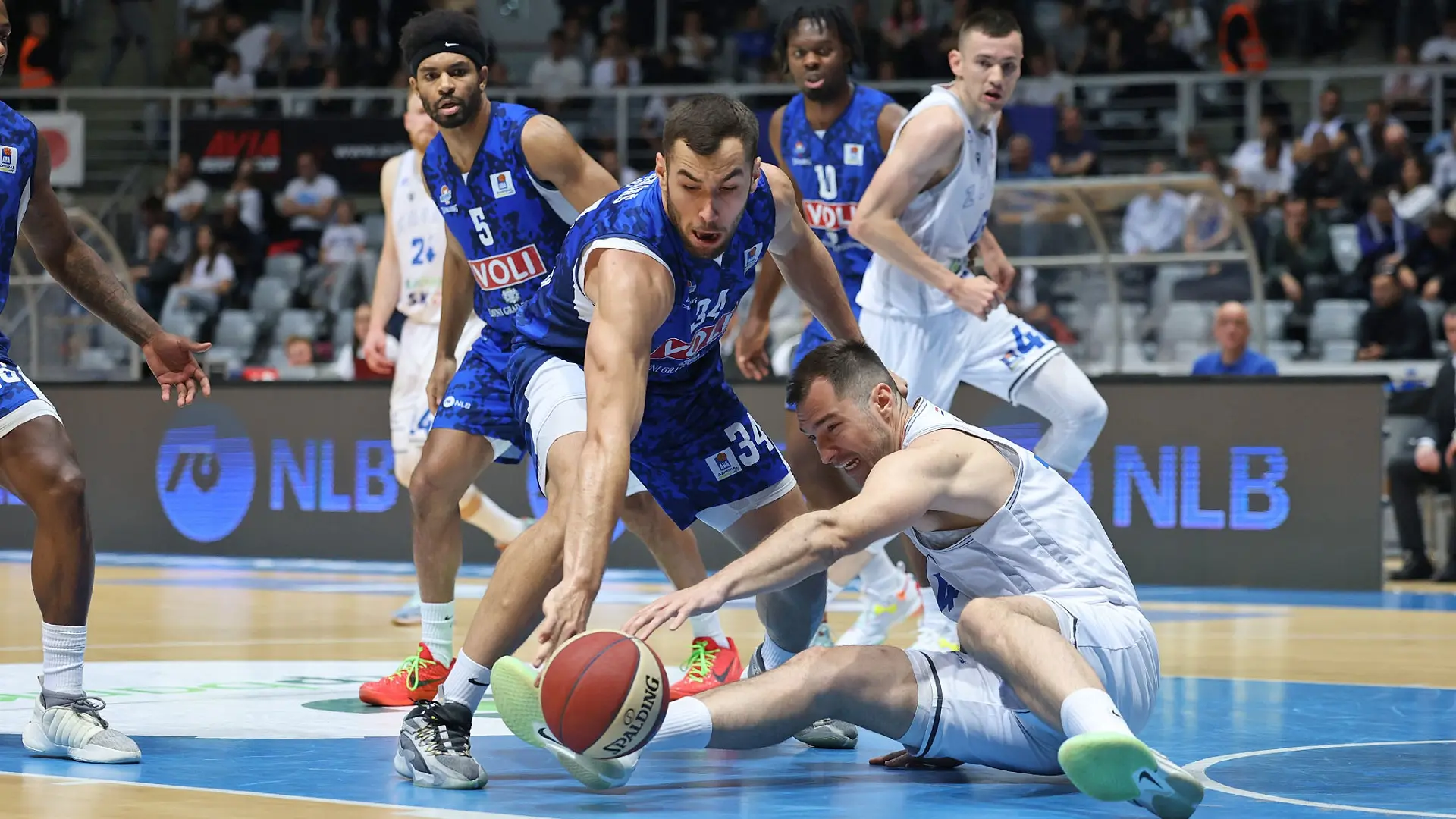 kk zadar, kk budućnost, aba liga - 19 april 2024 - Zadar Zvonko Kucelin-6622c51dbcd20.webp