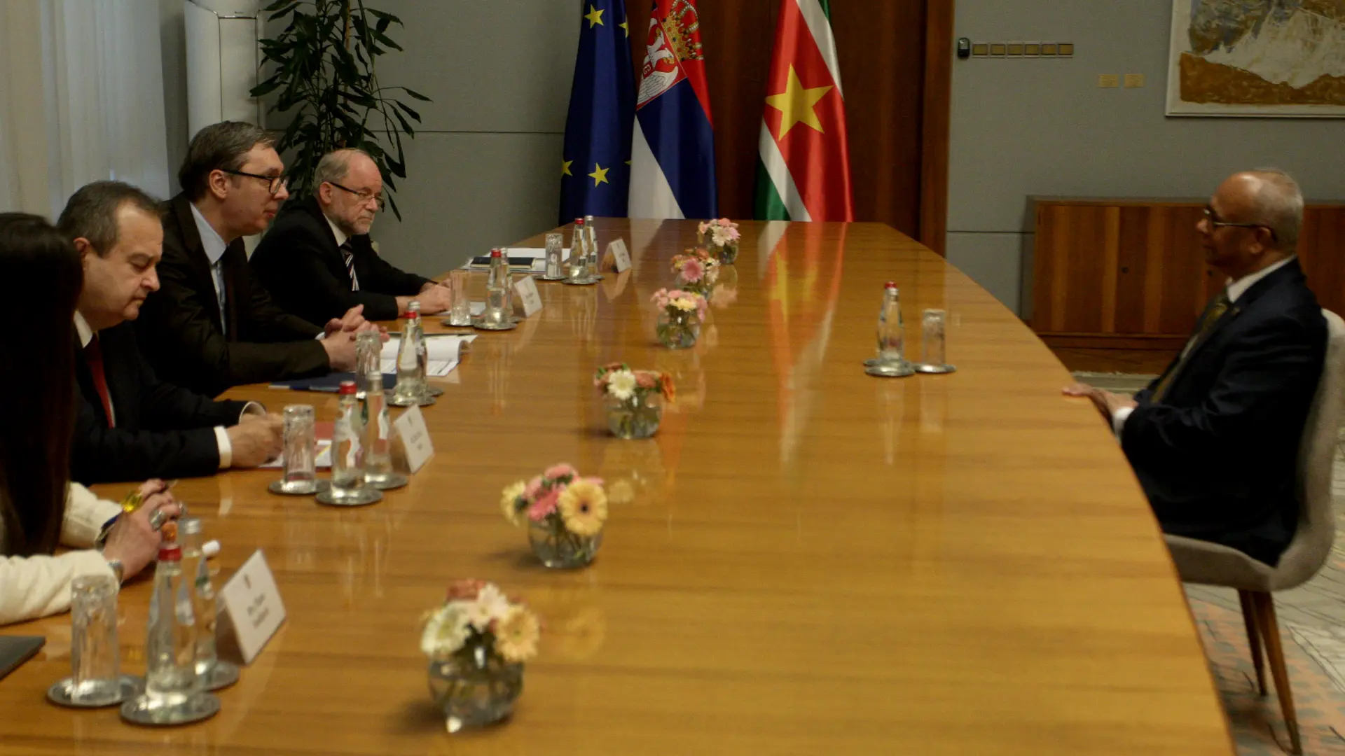 vucic surinam-66210a2f997a2.webp