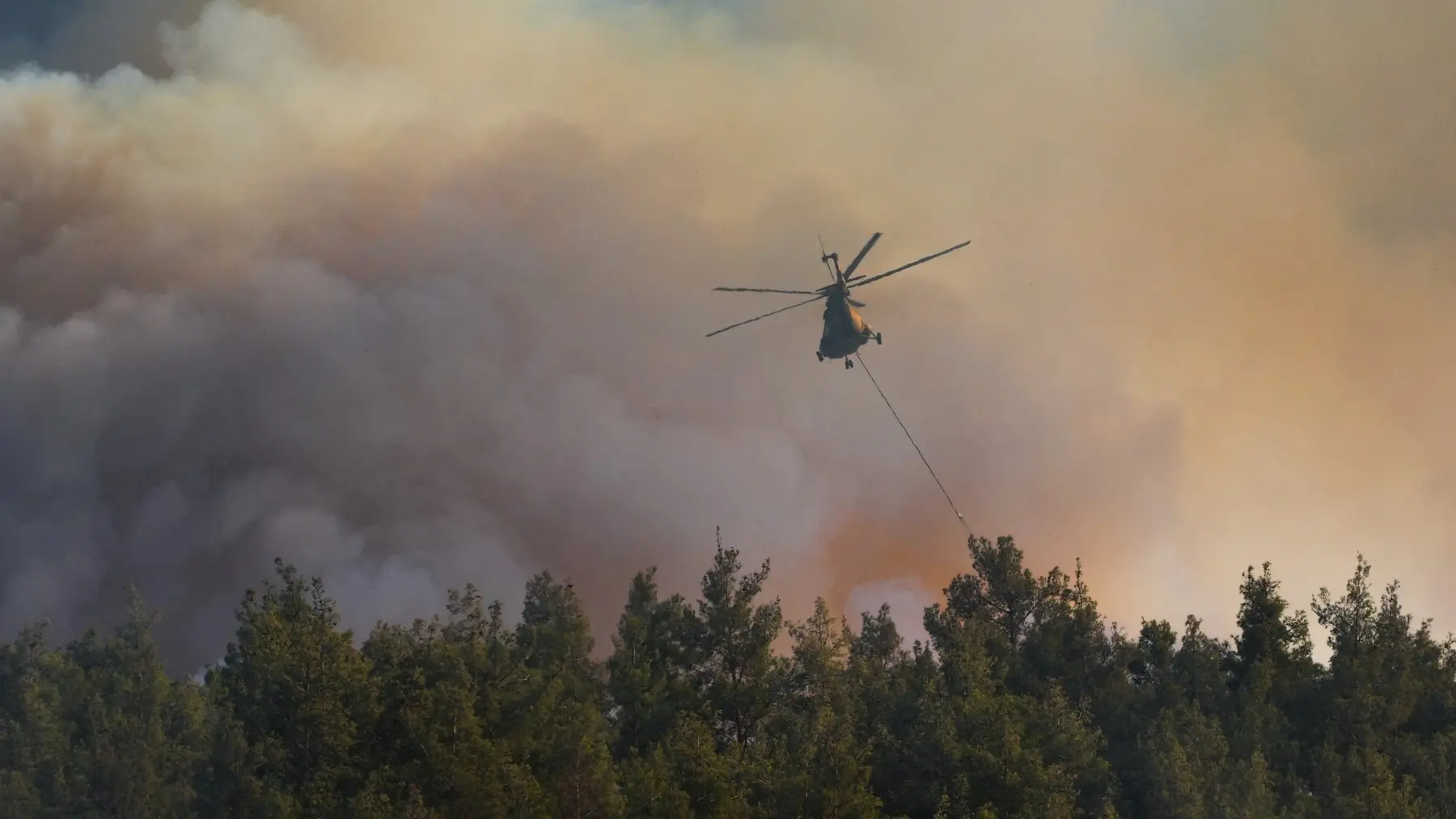 turska, šumski požar, izmir - 29 jun 2024 - profimedia-6680f8c18b2ae.webp