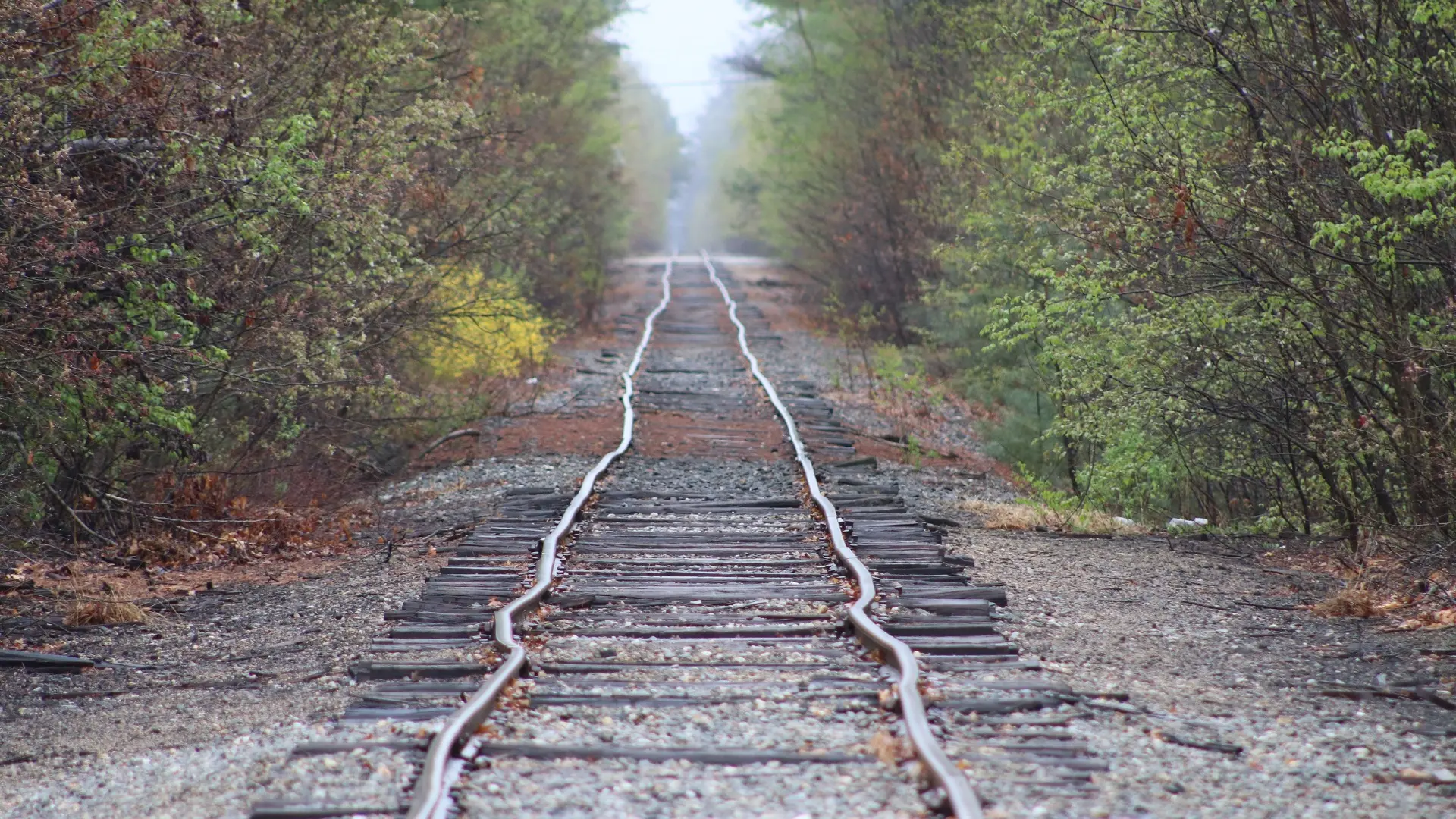 šine, kolosek, iskrivljene šine, železnica pruga, železnička pruga  - shutterstock_641504791-668edc5f1e286.webp