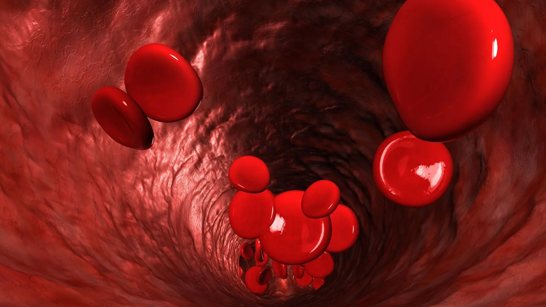 crvena krvna zrnca, eritrociti - profimedia-0160170209-66a4915b30a0f.webp