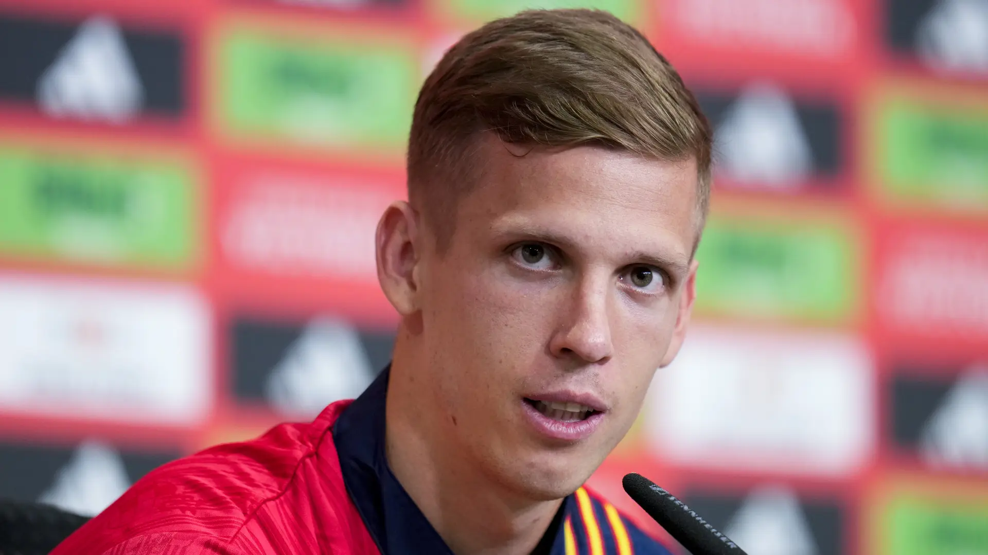 dani olmo-66912b3ec682d.webp