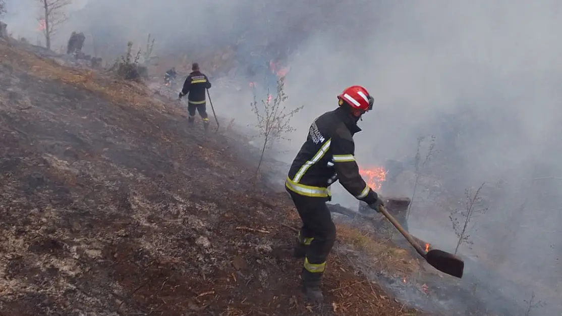 vatrogasci prohor pčinjski požar facebook mup srbije-66aa2f58c9d3f.webp